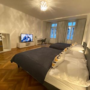 Spacious Apartment On Wenceslas Square